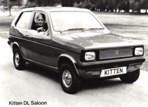 Reliant Kitten car history