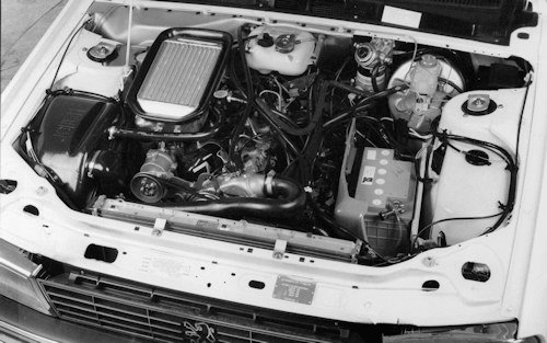  Diesel engine (Peugeot, Ford, Talbot, Mahindra, Leyland,UAZ) 